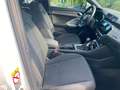 Audi Q3 Q3 SPB 35 TDI quattro S tronic Business Plus Bianco - thumbnail 12