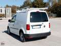 Volkswagen Caddy 2.0 TDI 122 CV 4MOTION 4X4 ALLESTITO OFFICINA Bianco - thumbnail 4