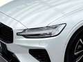 Volvo V60 T6 AWD PHEV Plus Dark Aut. Weiß - thumbnail 7