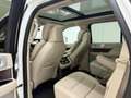 Lincoln Navigator Reserve FULL SPEC. NL KENT. Weiß - thumbnail 14