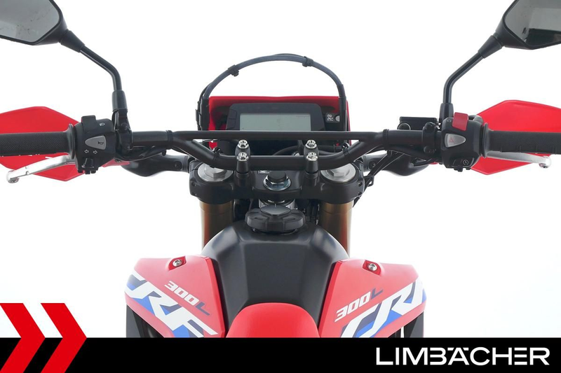 Honda CRF 300 L Lieferung bundesweit! — photo 14