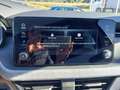 Skoda Kamiq Selection, SHZ,Tempom.,Einparkh. hinten, AppleCar Gris - thumbnail 20