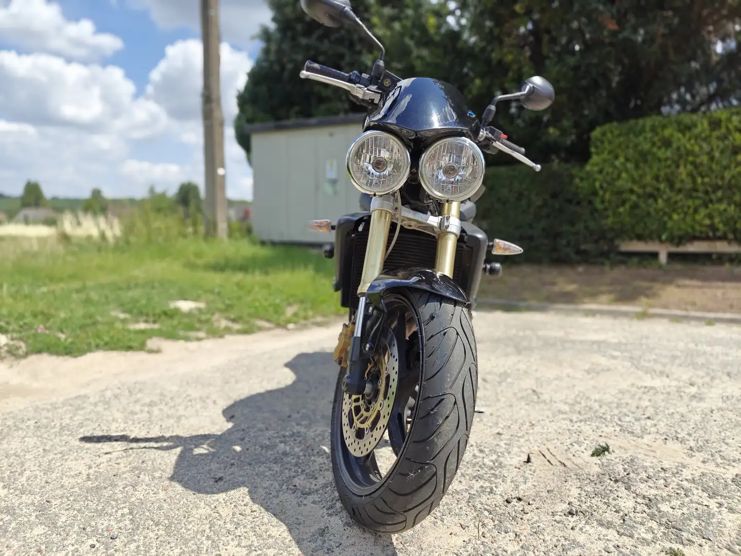 Triumph Street Triple 675 Negro - 2