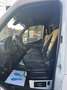 Mercedes-Benz Sprinter 317 CDI*Kasten Maxi*360°KAMERA*1.HAND* Weiß - thumbnail 12