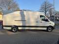 Mercedes-Benz Sprinter 317 CDI*Kasten Maxi*360°KAMERA*1.HAND* Weiß - thumbnail 9
