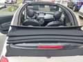 Fiat 500C 1.0 Hybrid Connect Uniprò Fatturabile Bianco - thumbnail 13