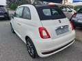 Fiat 500C 1.0 Hybrid Connect Uniprò Fatturabile Bianco - thumbnail 5