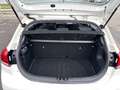 Kia Rio Rio 1,25 MPI Neon ISG Neon Weiß - thumbnail 6