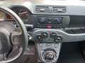 Fiat Panda Panda III 2021 1.0 firefly hybrid s Grigio - thumbnail 11