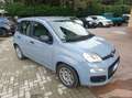 Fiat Panda Panda III 2021 1.0 firefly hybrid s Grigio - thumbnail 3