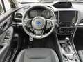 Subaru Forester 2.0ie e-Boxer Comfort mit OFFROAD-PAKET Grün - thumbnail 13