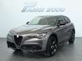 Alfa Romeo Stelvio 2.2 Turbodiesel 210CV AT8 Q4 Veloce *PREZZO PROMO* Сірий - thumbnail 1