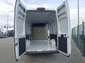 Fiat Ducato Ducato Kastenwagen L4H3 140 PS manuell, netto €... Weiß - thumbnail 4