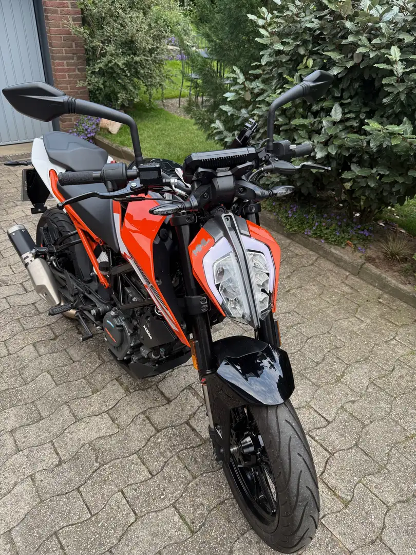 KTM 125 Duke Orange - 2