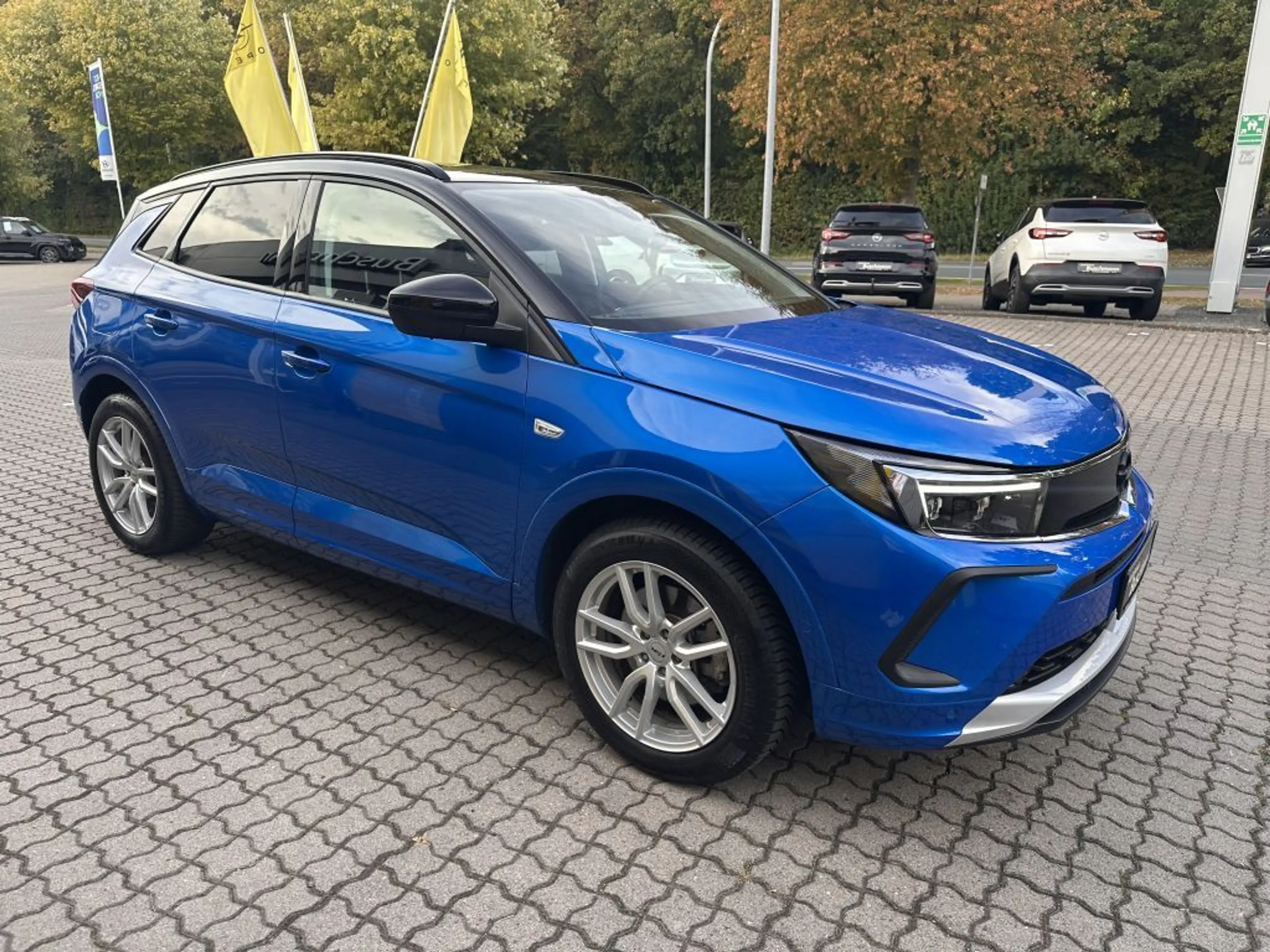 Opel Grandland X Grandland Hybrid4 Ultimate 7,4 KW OBC. AHK — photo 4