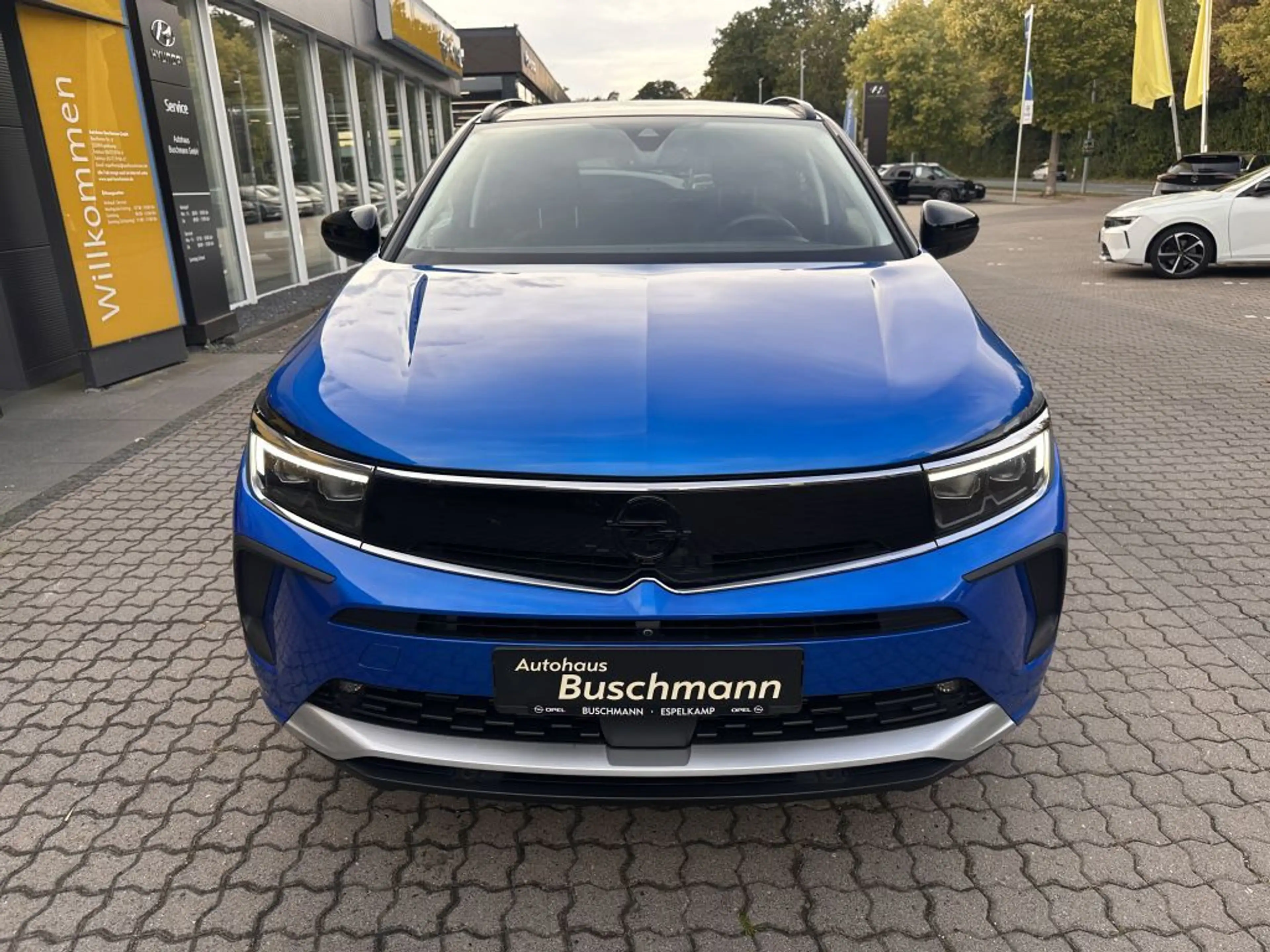 Opel Grandland X Grandland Hybrid4 Ultimate 7,4 KW OBC. AHK — photo 3