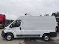 Fiat Ducato *Xarios 300*Klima,Tempomat,Top* Blanco - thumbnail 16