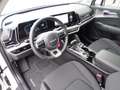 Kia Sportage 1.6 DCT7 48V Klima-SHZG-LHZG-Navi-LED Weiß - thumbnail 6