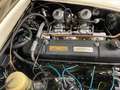 Austin-Healey 3000 2+2 Weiß - thumbnail 9