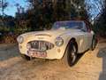 Austin-Healey 3000 2+2 Weiß - thumbnail 1