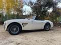 Austin-Healey 3000 2+2 Weiß - thumbnail 6