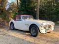 Austin-Healey 3000 2+2 Weiß - thumbnail 7