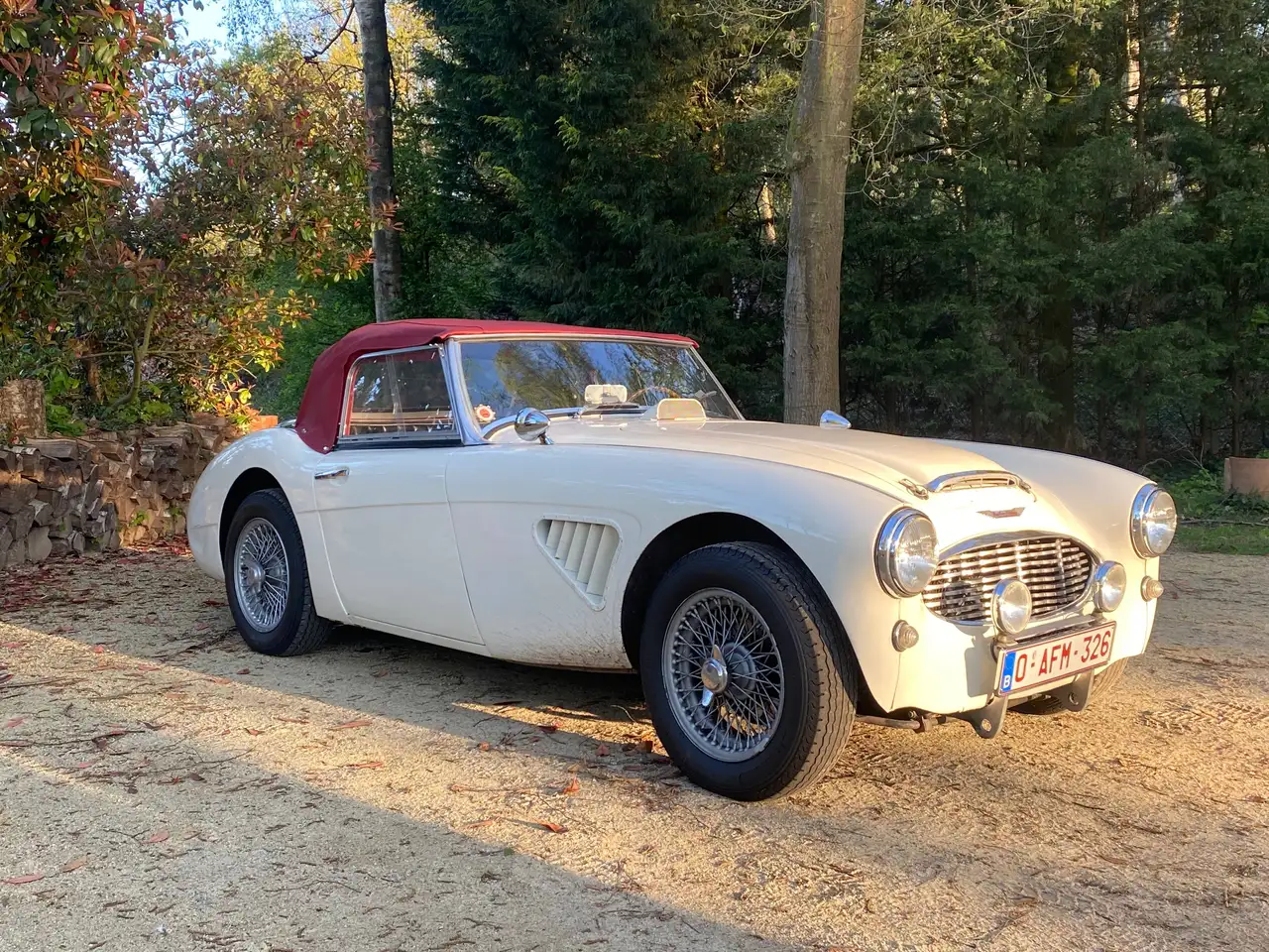 Austin-Healey 3000 2+2, foto 7