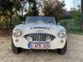 Austin-Healey 3000 2+2 Weiß - thumbnail 3