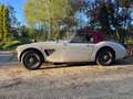 Austin-Healey 3000 2+2 Weiß - thumbnail 2