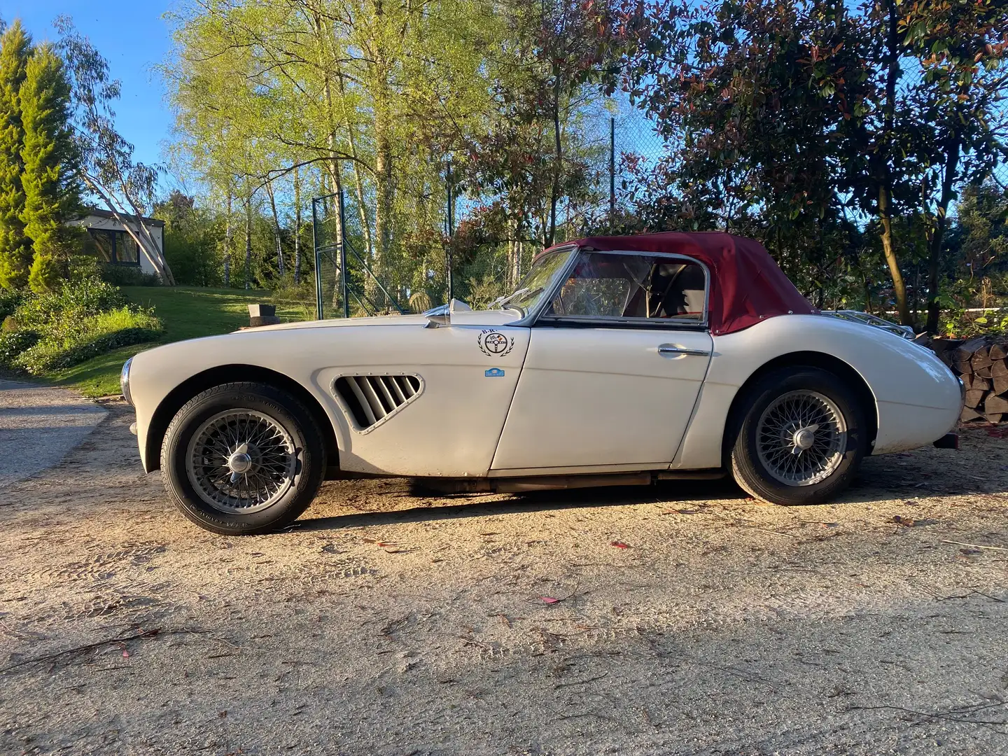 Austin-Healey 3000 2+2 Weiß - 2