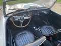 Austin-Healey 3000 2+2 Weiß - thumbnail 4