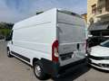 Fiat Ducato 35 LH2 2.3 MJET 140CV EURO 6DTemp PASSO LUNGO GV Weiß - thumbnail 3