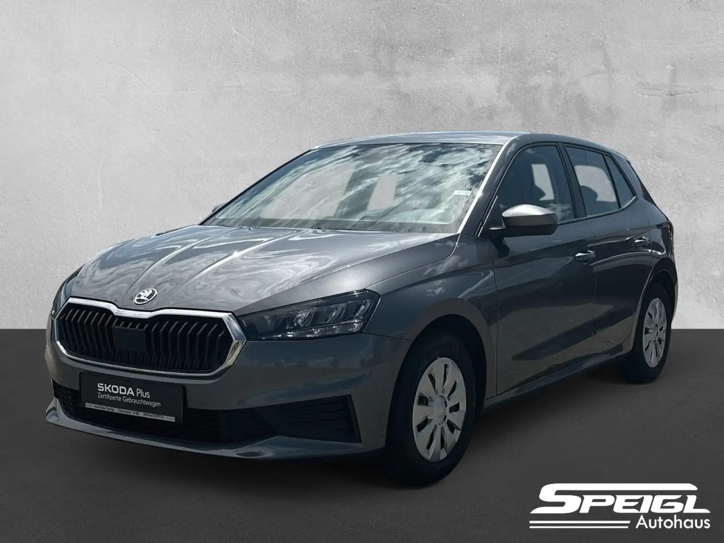 Skoda Fabia 1.0 TSI Ambition Klima Einparkhilfe Sitzheizung Grijs - 1