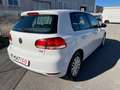Volkswagen Golf Golf Business 1.6 TDI 5p. Bianco - thumbnail 8