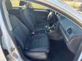 Volkswagen Golf Golf Business 1.6 TDI 5p. Bianco - thumbnail 16