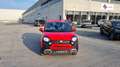 Fiat Panda 1.0 FireFly HYBRID CROSS UFFICIALE PRONTA CONSEGNA Rosso - thumnbnail 2