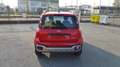 Fiat Panda 1.0 FireFly HYBRID CROSS UFFICIALE PRONTA CONSEGNA Rosso - thumnbnail 6
