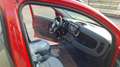 Fiat Panda 1.0 FireFly HYBRID CROSS UFFICIALE PRONTA CONSEGNA Rosso - thumnbnail 13