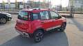 Fiat Panda 1.0 FireFly HYBRID CROSS UFFICIALE PRONTA CONSEGNA Rosso - thumnbnail 7