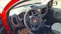 Fiat Panda 1.0 FireFly HYBRID CROSS UFFICIALE PRONTA CONSEGNA Rosso - thumnbnail 9