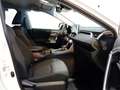 Toyota RAV 4 2,5 Hybrid AWD *ASSISTENZ *GARANTIE *GEPFLEGT Weiß - thumbnail 13
