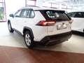 Toyota RAV 4 2,5 Hybrid AWD *ASSISTENZ *GARANTIE *GEPFLEGT Weiß - thumbnail 5