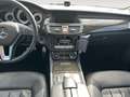 Mercedes-Benz CLS 250 CLS Shooting Brake 250 cdi auto Beyaz - thumbnail 13