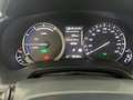 Lexus RX 450h RX 450h 3.5 Luxury cvt IVA ESPOSTA Weiß - thumbnail 9