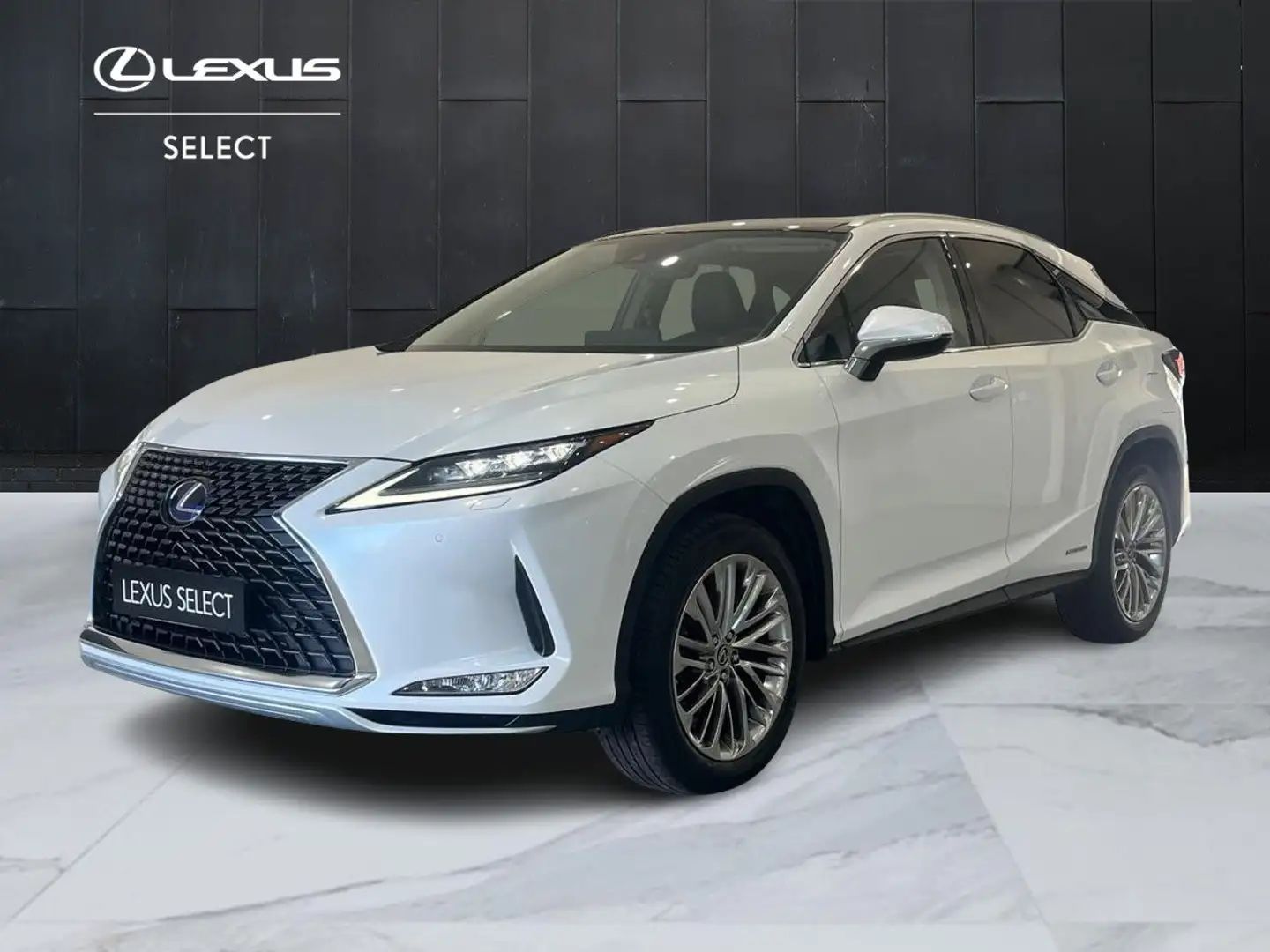 Lexus RX 450h RX 450h 3.5 Luxury cvt IVA ESPOSTA Weiß - 1