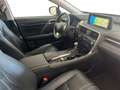 Lexus RX 450h RX 450h 3.5 Luxury cvt IVA ESPOSTA Weiß - thumbnail 15