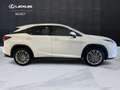 Lexus RX 450h RX 450h 3.5 Luxury cvt IVA ESPOSTA Weiß - thumbnail 4