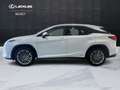 Lexus RX 450h RX 450h 3.5 Luxury cvt IVA ESPOSTA Weiß - thumbnail 3