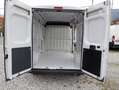 Fiat Ducato 33 2.3 MJT 140CV LH2 2020 E6DTEMP GARANTITO!!! Blanco - thumbnail 6