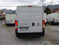 Fiat Ducato 33 2.3 MJT 140CV LH2 2020 E6DTEMP GARANTITO!!! Blanco - thumbnail 5